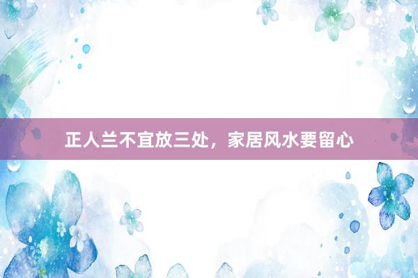 正人兰不宜放三处，家居风水要留心