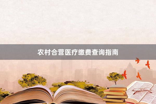 农村合营医疗缴费查询指南