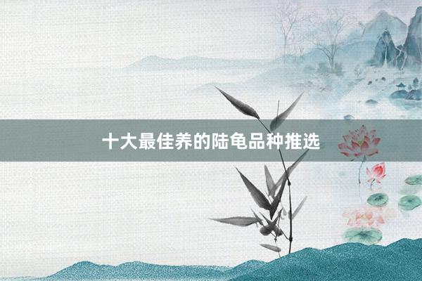 十大最佳养的陆龟品种推选