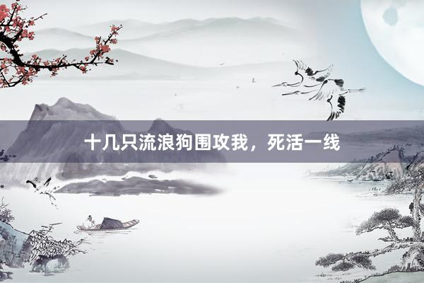 十几只流浪狗围攻我，死活一线
