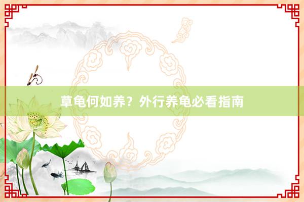 草龟何如养?外行养龟必看指南