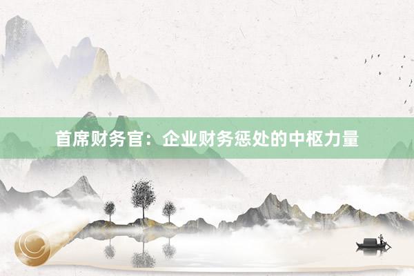 首席财务官：企业财务惩处的中枢力量