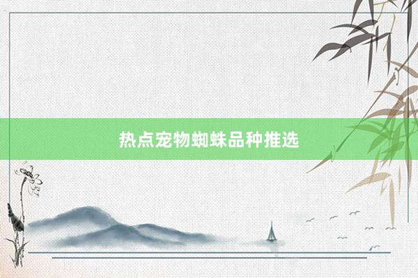 热点宠物蜘蛛品种推选