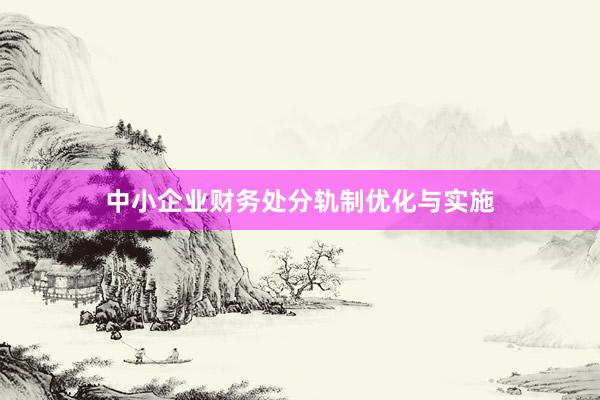 中小企业财务处分轨制优化与实施